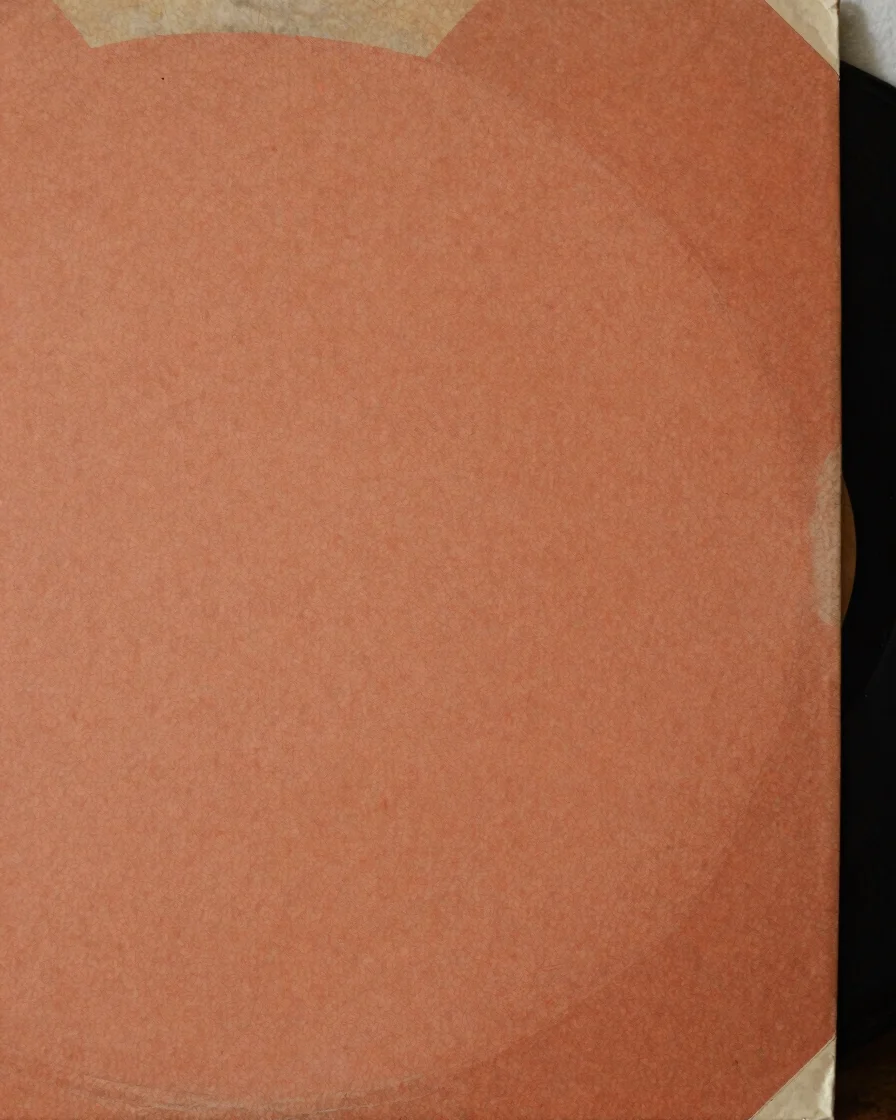 Close-up of a vintage vinyl record sleeve, showing textured paper and subtle analog grain, soft studio daylight, rich ea